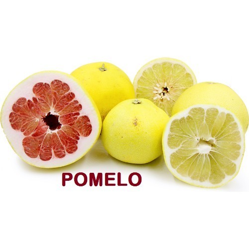 POMELO FRUIT,Honey Pomelo Fruit,Fresh Honey Pomelo Citrus Fruit