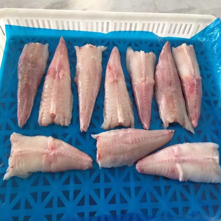 High quality whole frozen monkfish tail for sale