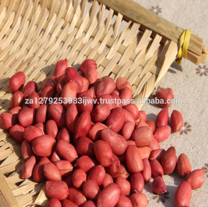 Raw peanuts salted peanuts,South Africa price supplier 21food