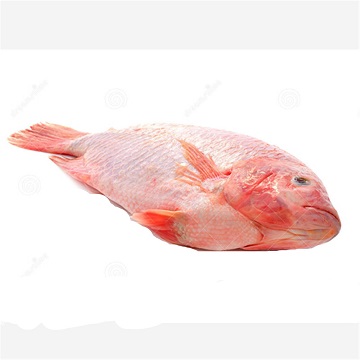 Frozen Tilapia Fish Fillet,Frozen Tilapia Boneless Fish Fillet