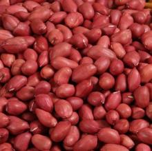 Ground Nut red skin Peanut,Raw Shelled Peanut,Fresh Peanuts