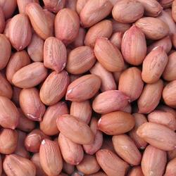 Ground Nut red skin Peanut,Raw Shelled Peanut,Fresh Peanuts