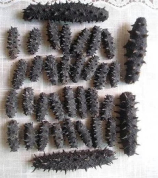 High quality low calorie fatigue dried trepang