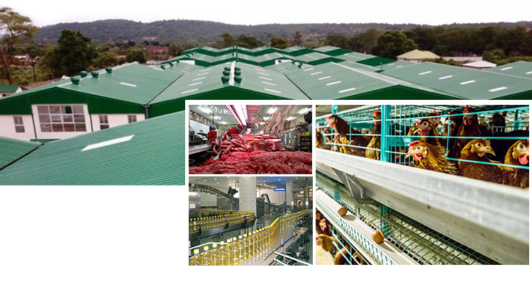 High quality low calorie fatigue dried trepang
