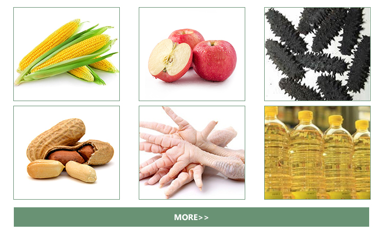 High quality low calorie fatigue dried trepang