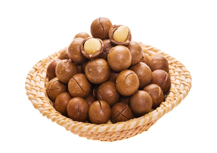 Rich nutrition Top quality Wholesale organic Cheap macadamia buyers for