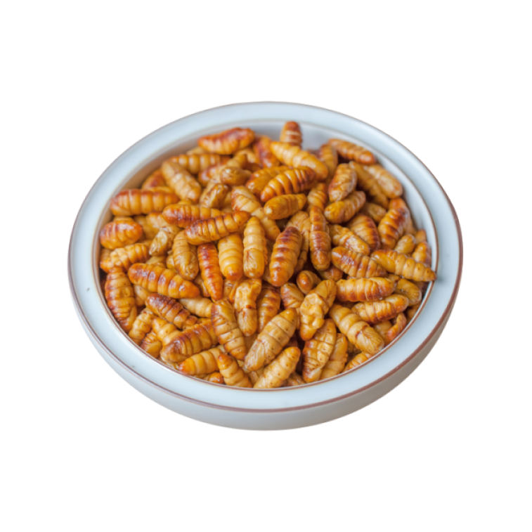 silkworm pupae meal silkworm chrysalis,South Africa price supplier - 21food