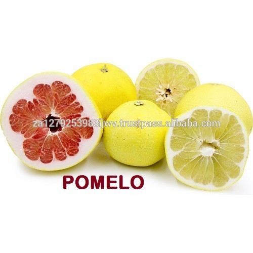 POMELO FRUIT,Honey Pomelo Fruit,Fresh Honey Pomelo Citrus Fruit