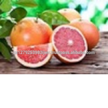 Fresh grapefruit/FRESH POMELO,fresh pomelo for sale