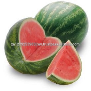 fresh water melon,Watermelon for sale