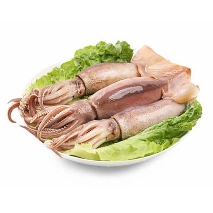 frozen squid tube South Africa 12.5kg fat delicious frozen squid