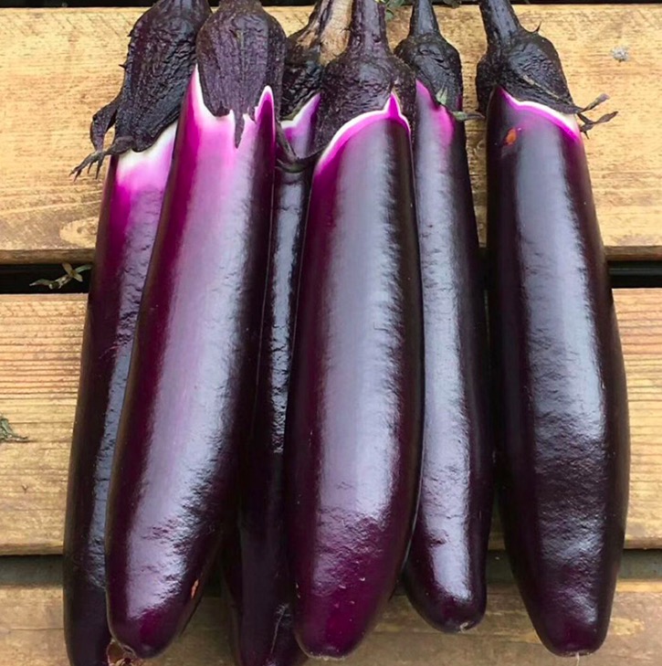 Wholesale Chinese Vegetable Hybrid F1 Long Purple Eggplant seeds,China