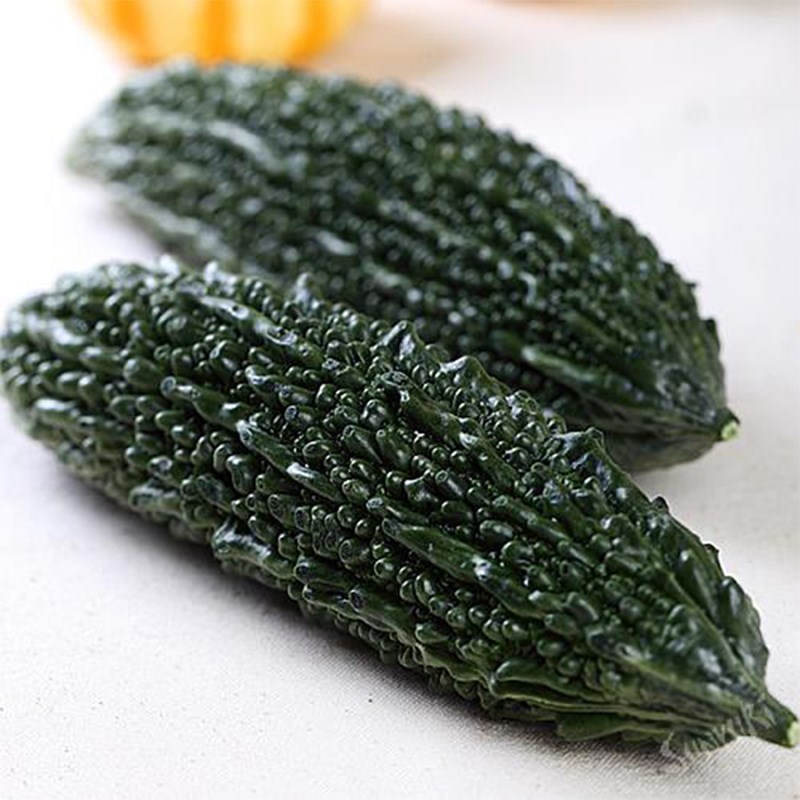 High Yield F Hybrid Bitter Gourd Seed For Black Pearl Bitter Gourd Seed China Price Supplier