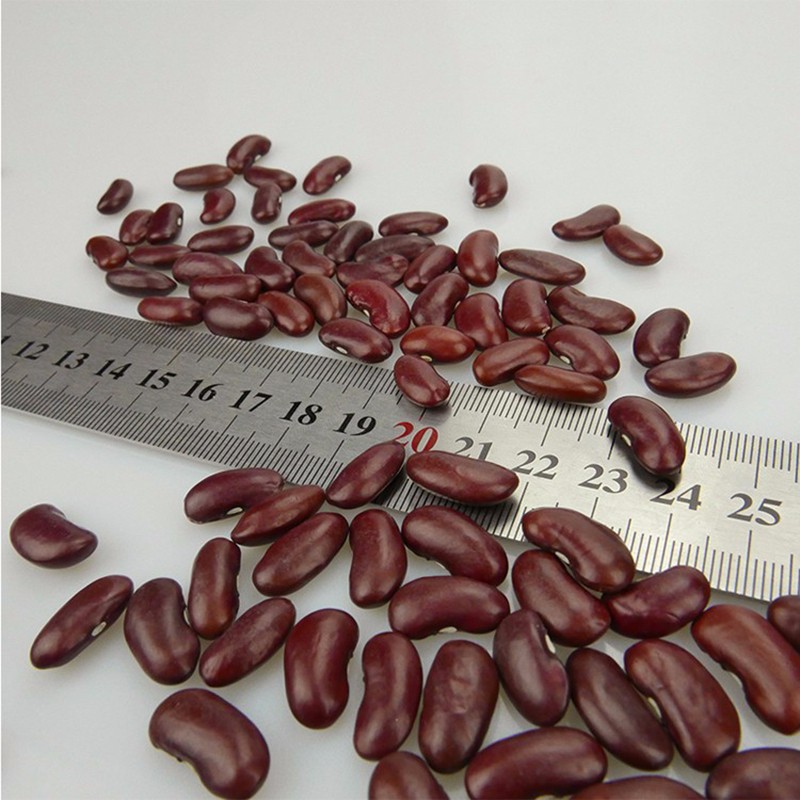 Wholesale natural brown dark red kidney beans with cheap market price