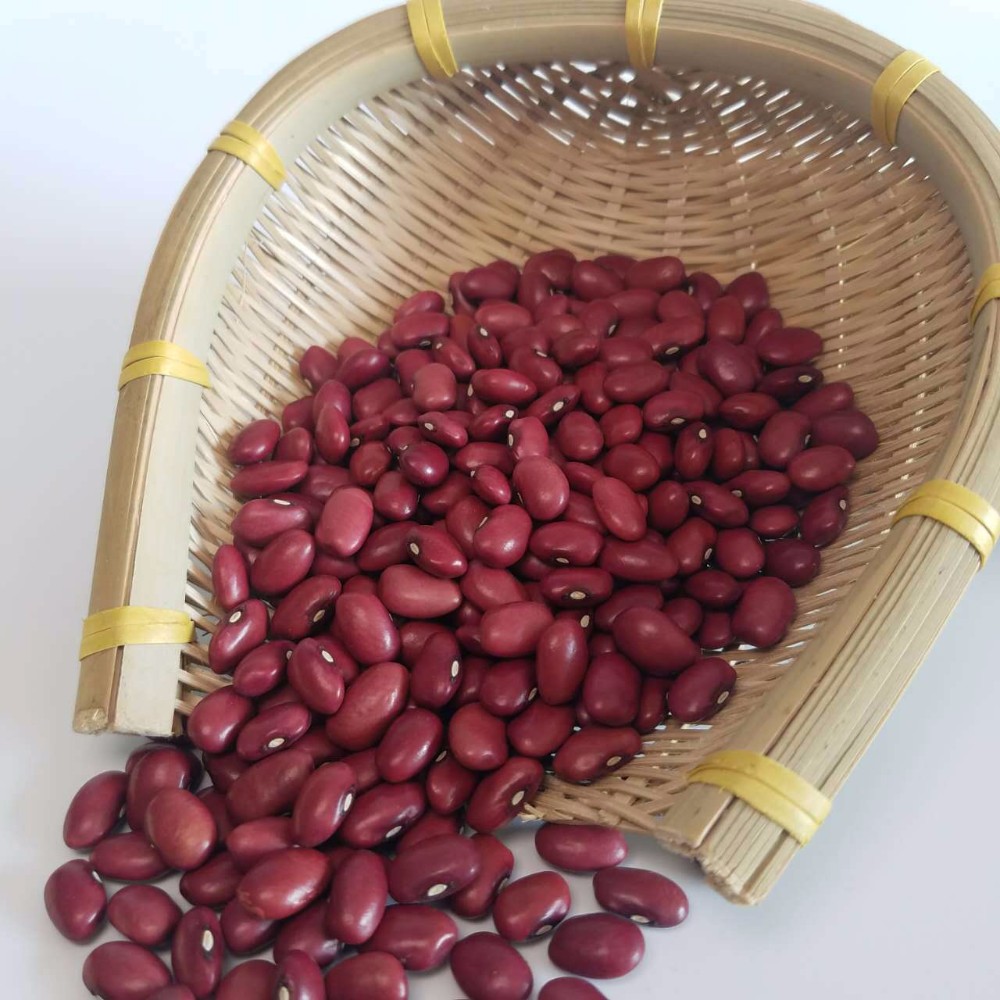Wholesale natural brown dark red kidney beans with cheap market price