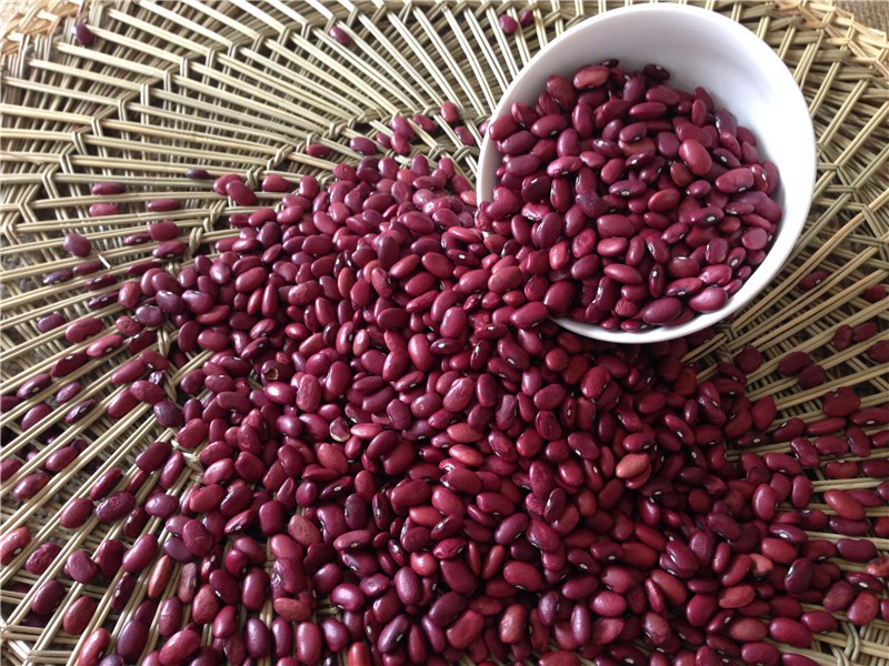 Wholesale natural brown dark red kidney beans with cheap market price