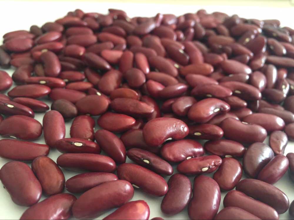 Wholesale Chinese New Crop Light Red Kidney Beans with Excellent Quality