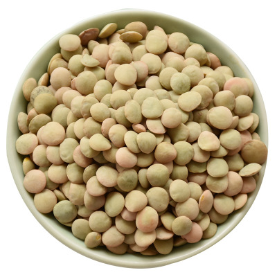 Fresh red lentils  Chinese new crop lentils  Lentils beans