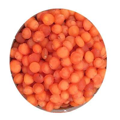 Fresh red lentils  Chinese new crop lentils  Lentils beans
