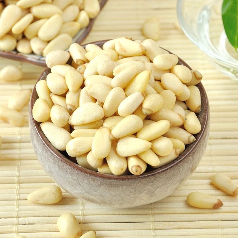 Fresh  New Crop 100% Pure Natural Edible Wild Pine Nuts with competitive price