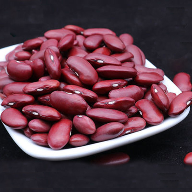 China factory sell high quality dark red kidney beans