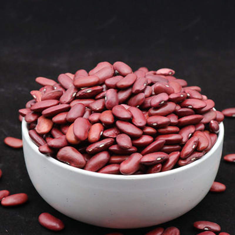 China factory sell high quality dark red kidney beans