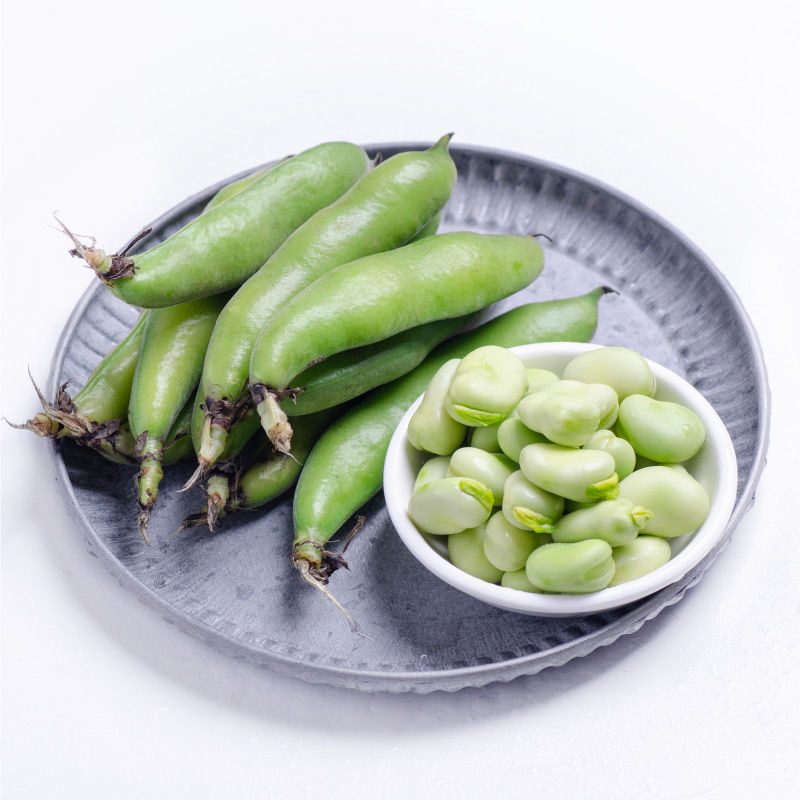 Low price wholesale new crop chinese  broad beans  with good quality