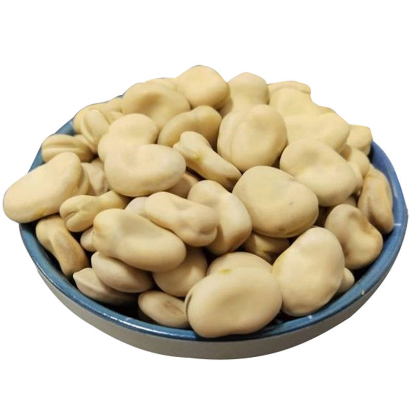 Low price wholesale new crop chinese  broad beans  with good quality