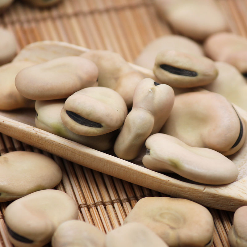 Low price wholesale new crop chinese  broad beans  with good quality