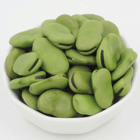 Low price wholesale new crop chinese  broad beans  with good quality