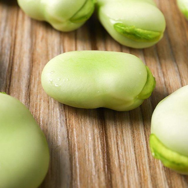 Chinese  Qinghai wholesale factory dried broad bean with market price