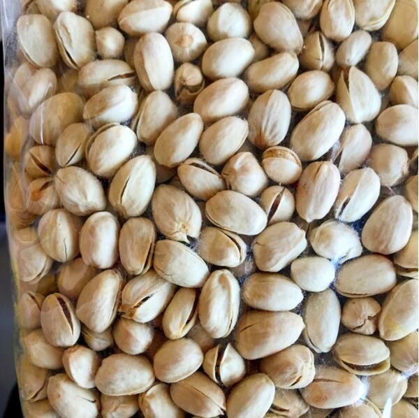 Pistachios nuts Roasted and Salted Bulk,Pistachio with Shell Best Price