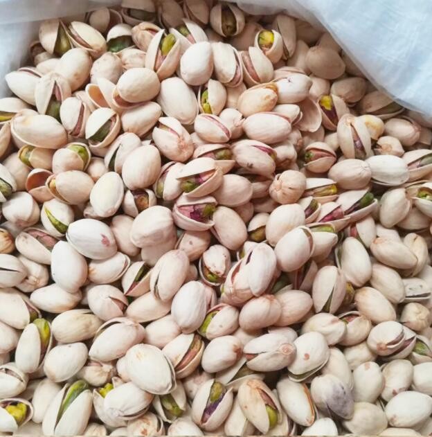 Pistachios nuts Roasted and Salted Bulk,Pistachio with Shell Best Price