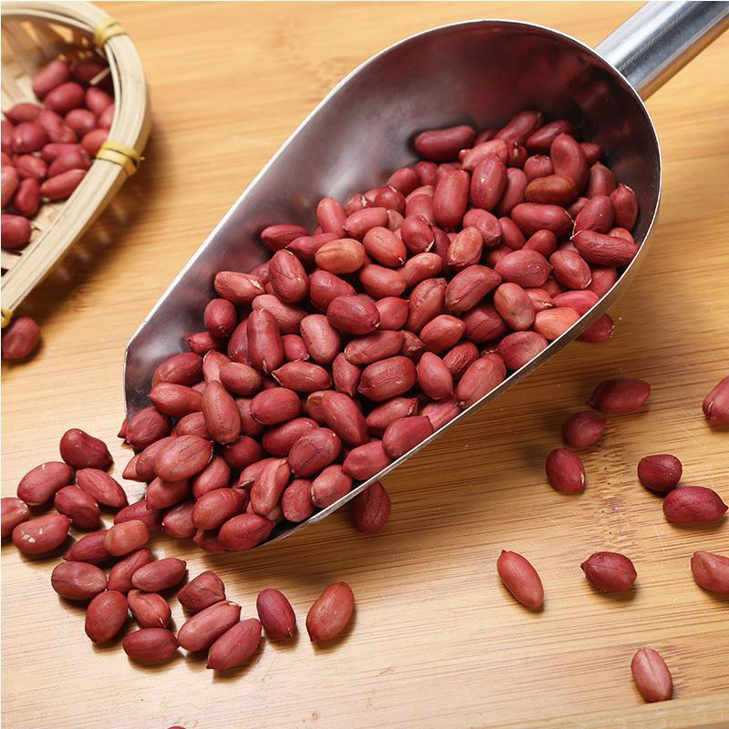Chinese 2019 new crop red skin peanut kernels in long-round shape on hot selling