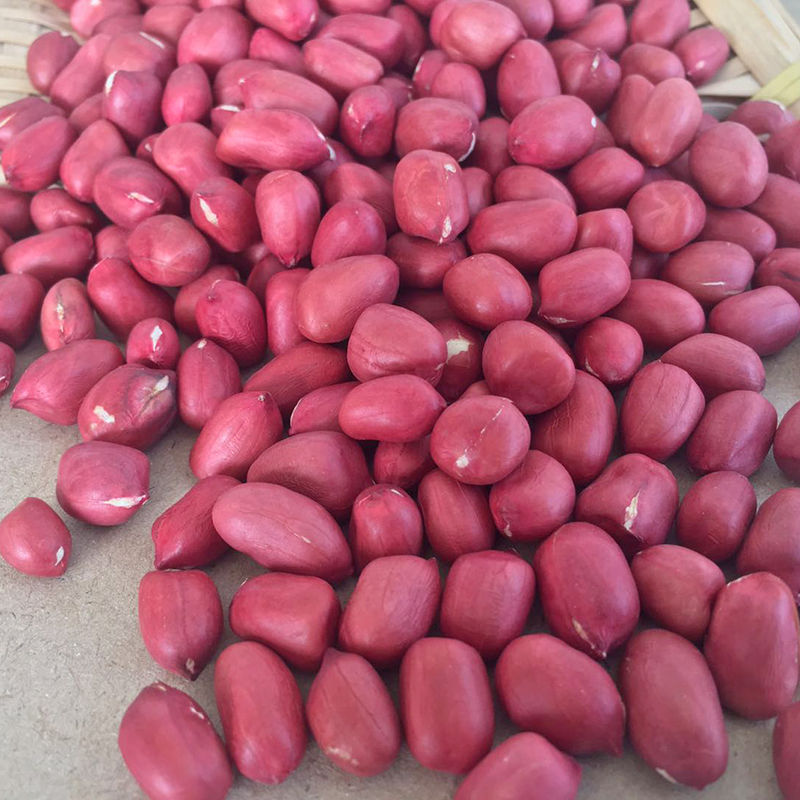 Factory direct selling dried red skin peanut kernels with lowest price
