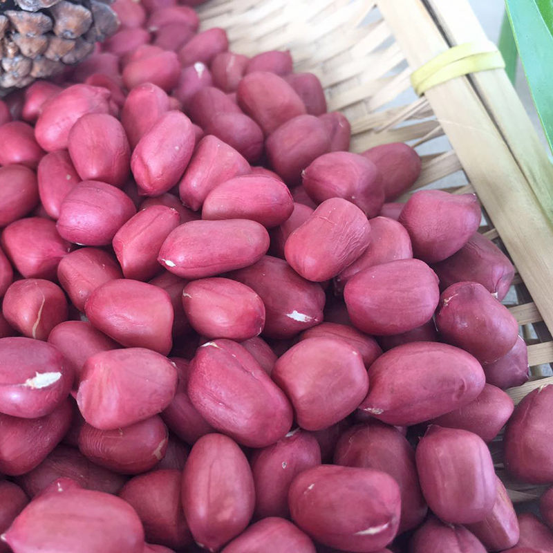 Factory direct selling dried red skin peanut kernels with lowest price