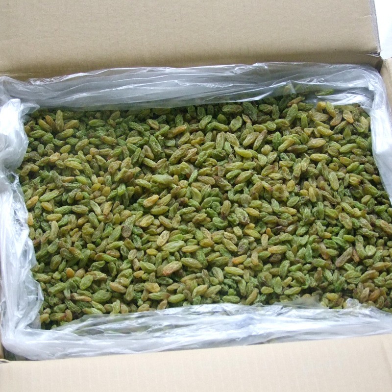 hot sell dried green raisin with high quality and low price