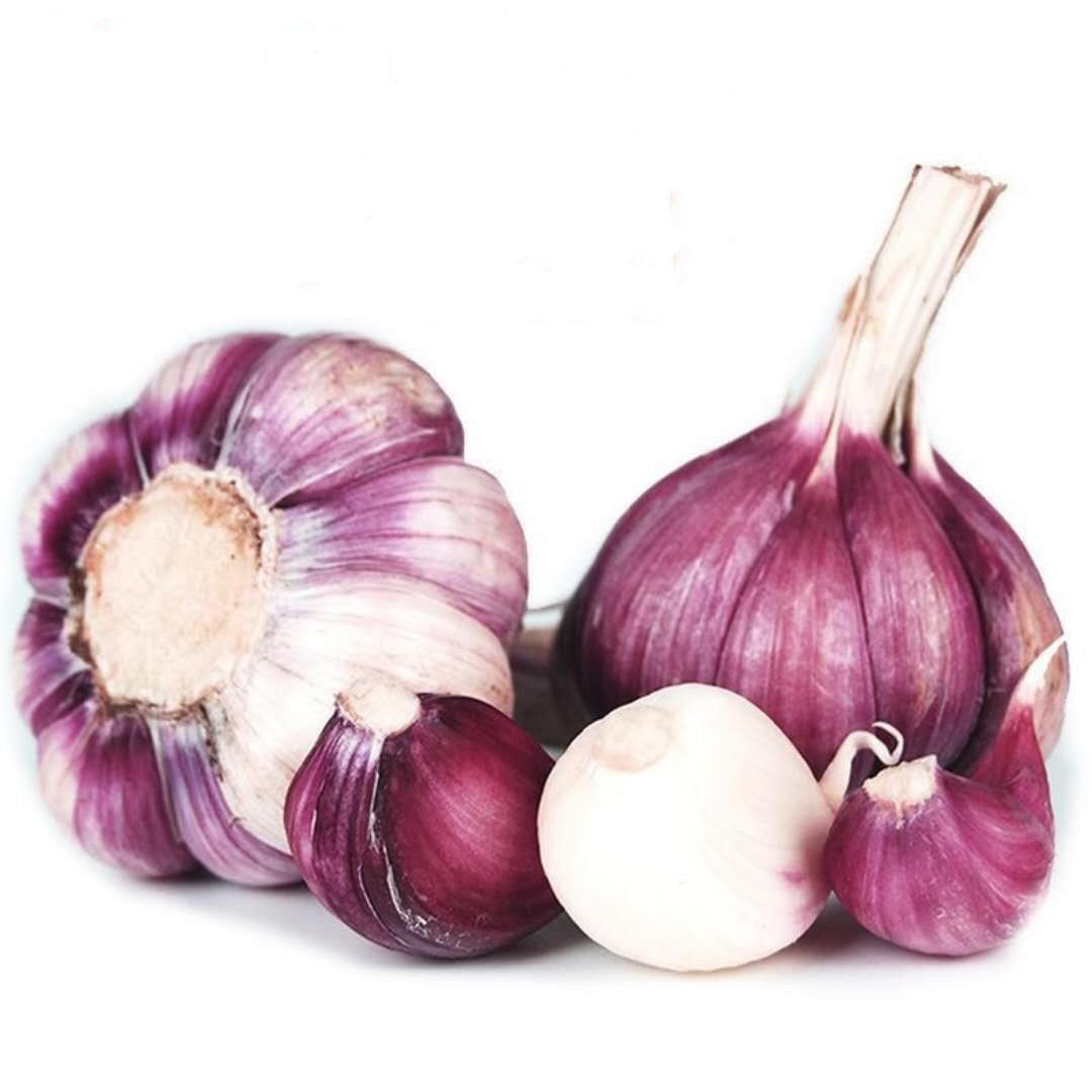 wholesale factory normal white garlic with cheap price