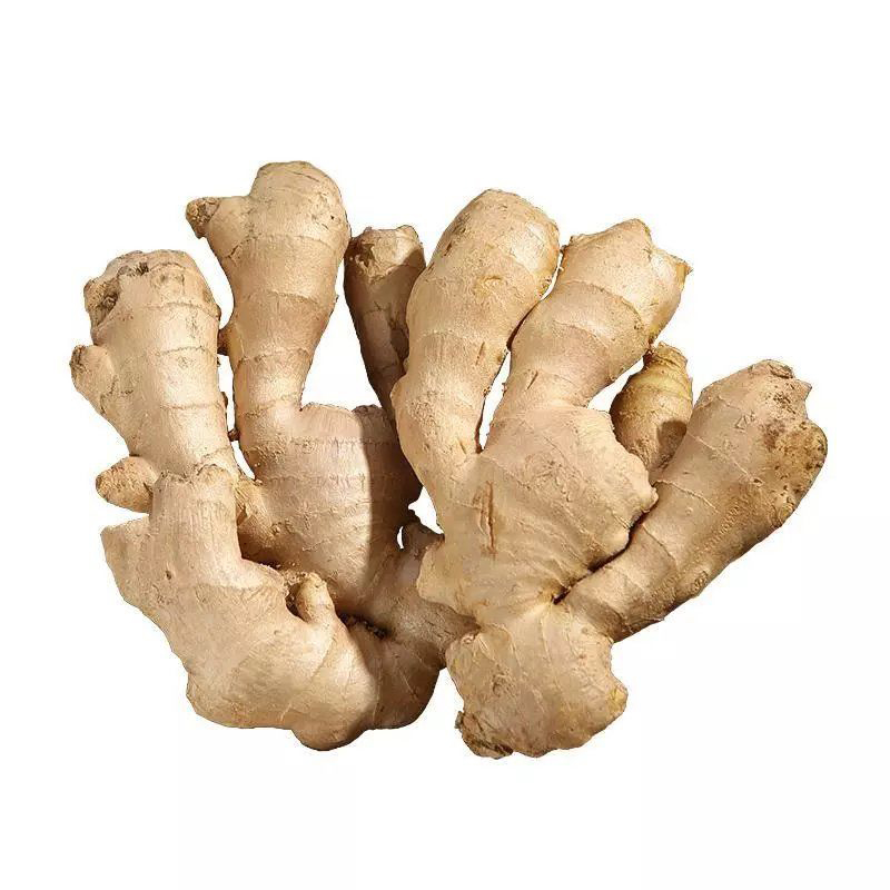 China factory sell organic yellow color ginger with wholesale price ...