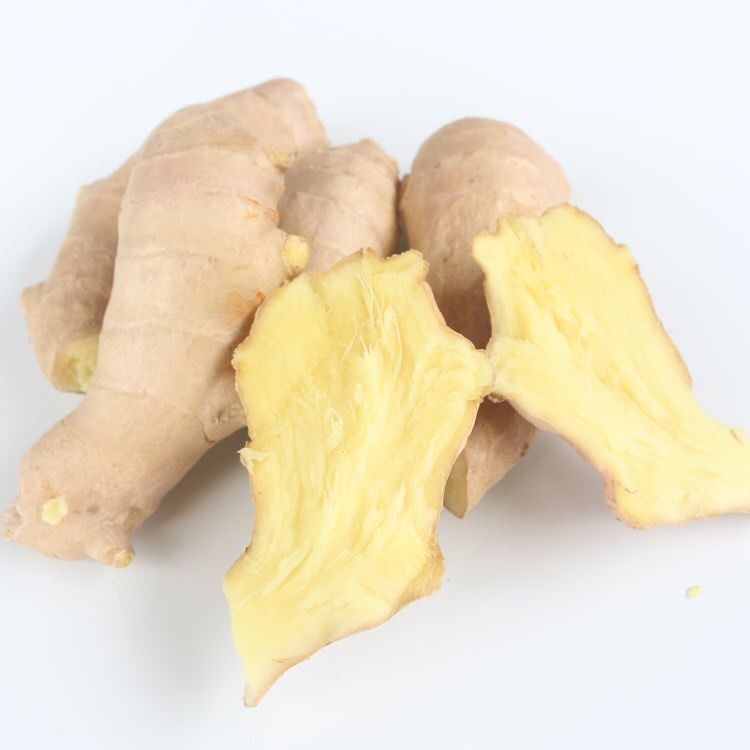 Wholesale export grade fresh ginger welcome to buy perennial export fresh ginger