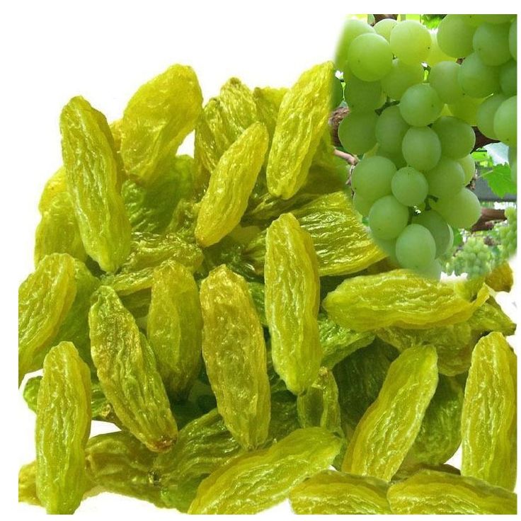 Xinjiang  factory wholesale fruit sun dried red raisin