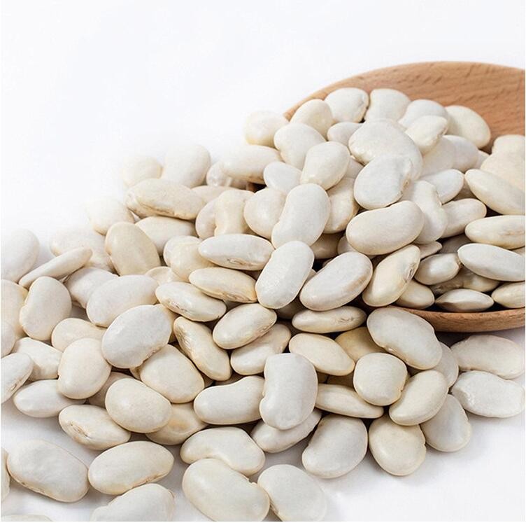 Large White Kidney Beans Wholesale Price,China price supplier - 21food