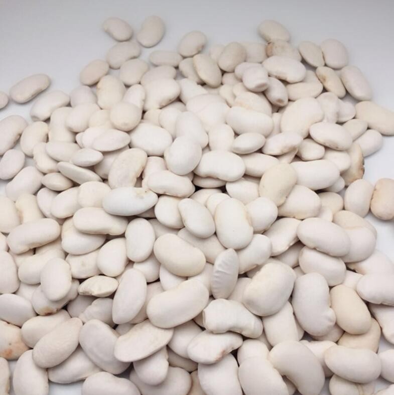 Large White Kidney Beans Wholesale Price China Price Supplier 21food   Food305228 1605710903985009 