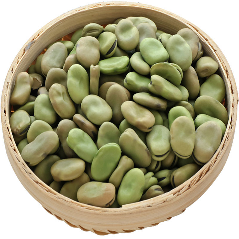 Big Size Dried Broad Beans Fava Beans For Sale,China Price Supplier ...