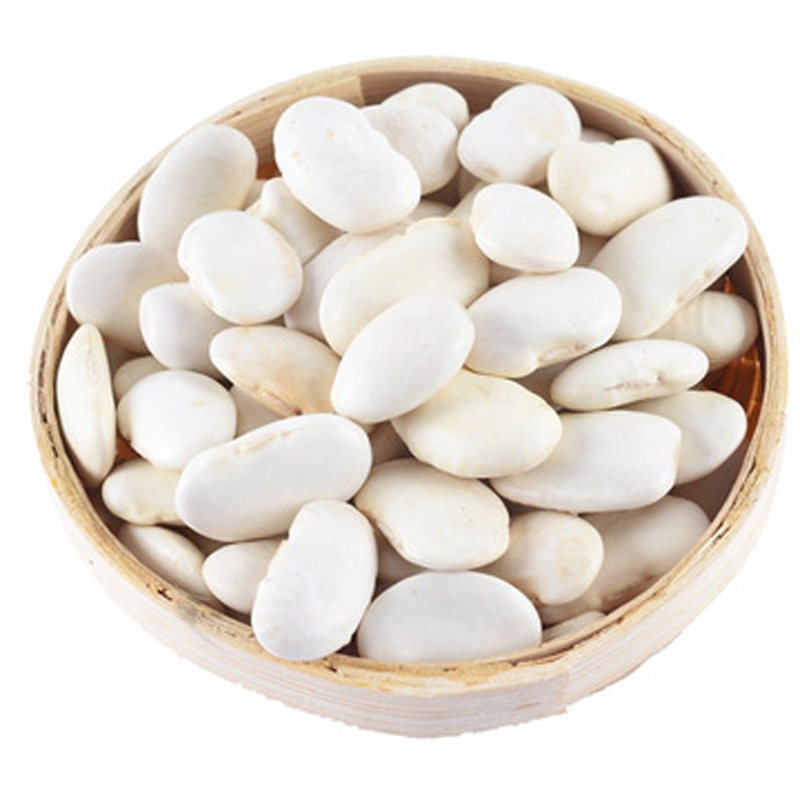 Long shape of big size white kidney beans to export
