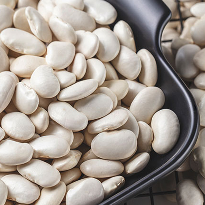 China direct sale  White kidney beans manufacturers grain white kidney beans