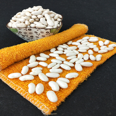 Hot selling of white kidney beans to export  with cheap price