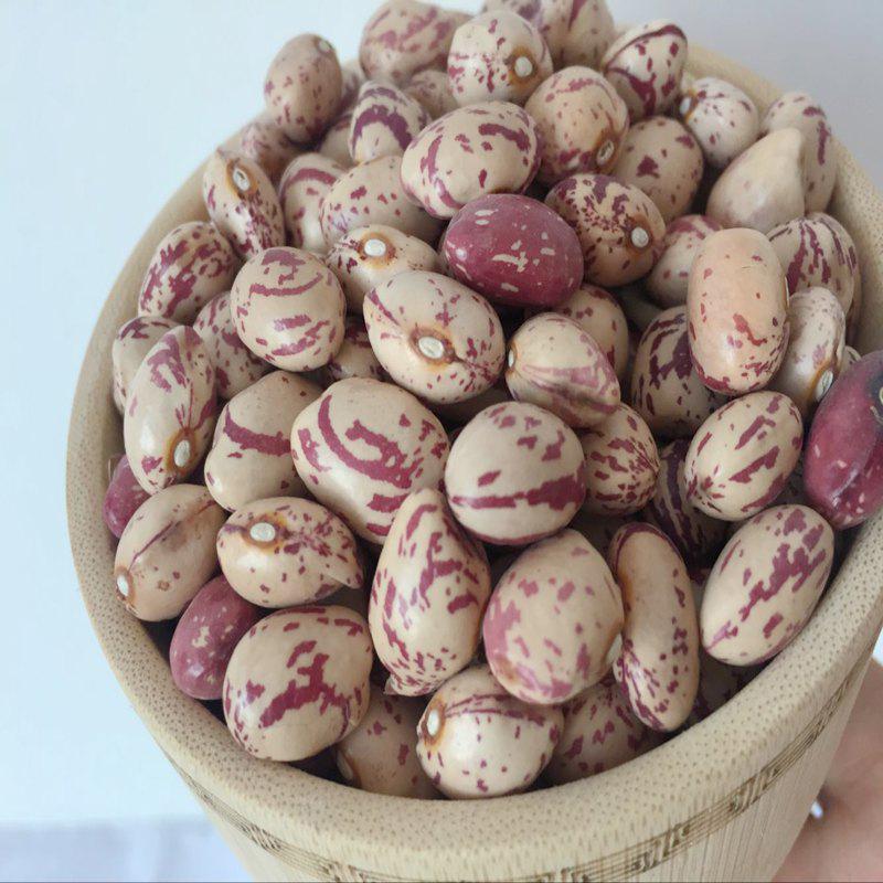 Light speckled kidney beans with different size of pulses on hot ...