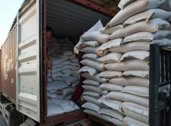 Wholesale Bulk Hulled Natural White Sesame Seeds new crop Best Price