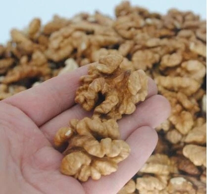 Wholesale bulk xinjiang walnut kernels with free sample to export